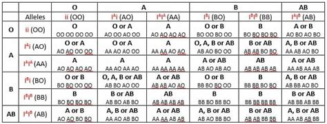 Blood Group Heredity Chart