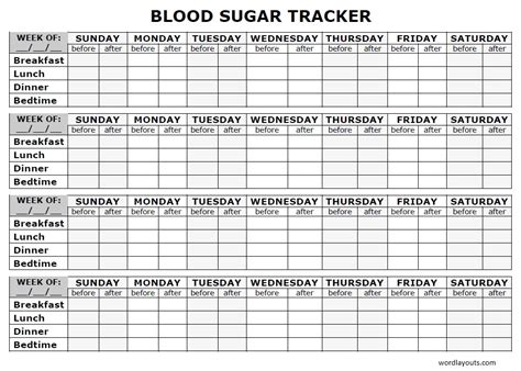 Blood Sugar Journal Printable