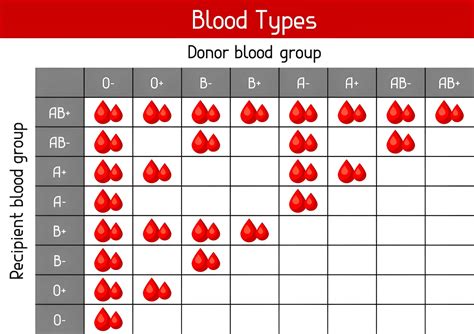Blood Types Donation Chart