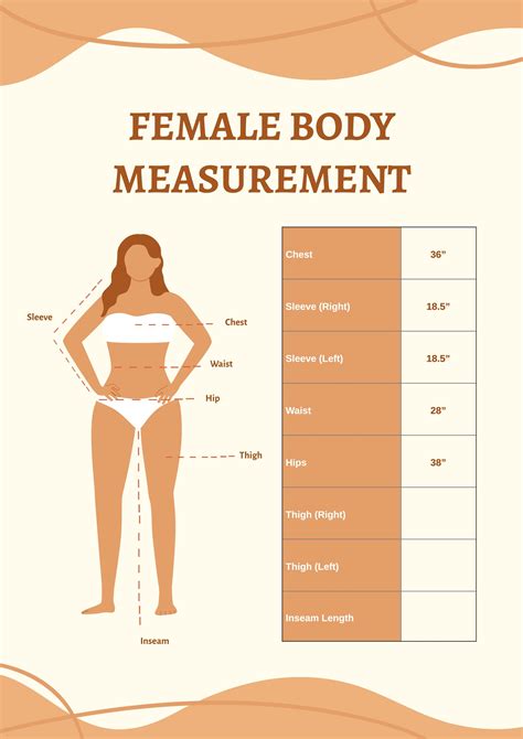 Body Measurements Template