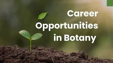 Botany Career Opportunities