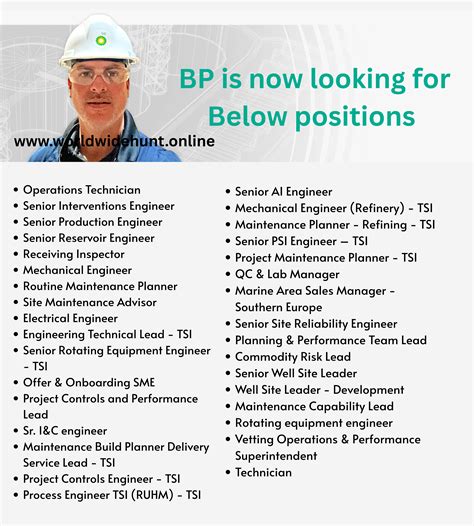 Bp Career Opportunities