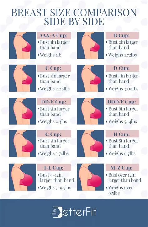 Breast Cup Size Comparison Chart
