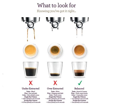 Breville BCI600XL: The Ultimate Guide to Coffee Extraction Perfection
