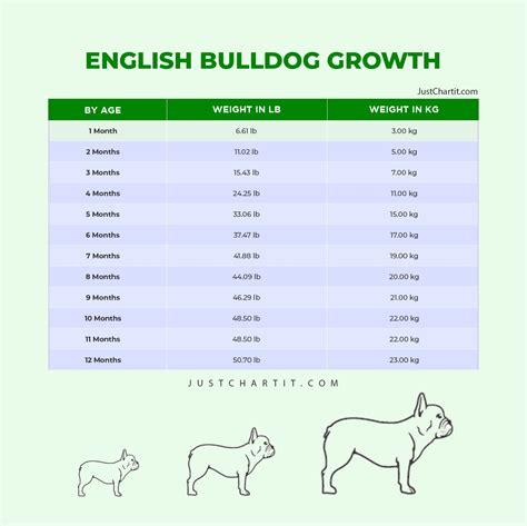 British Bulldog Weight Chart