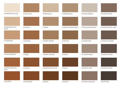 Brown Color Chart Paint