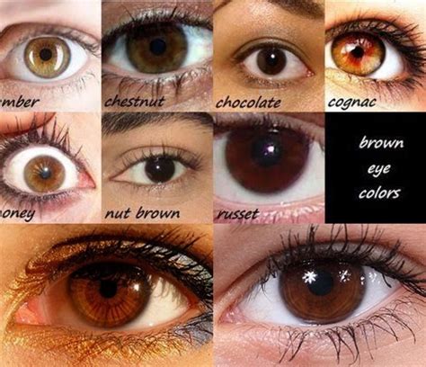 Brown Eyes Chart
