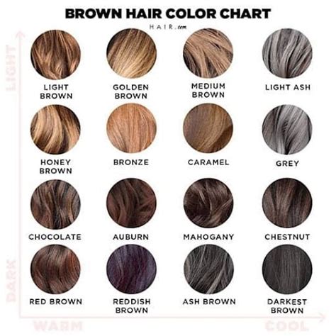 Brunette Colour Chart