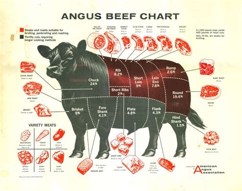 Butcher Cow Chart