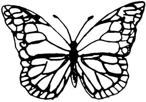 Butterfly Drawing Template