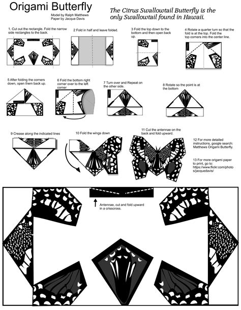 Butterfly Origami Template