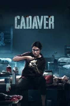 Cadaver