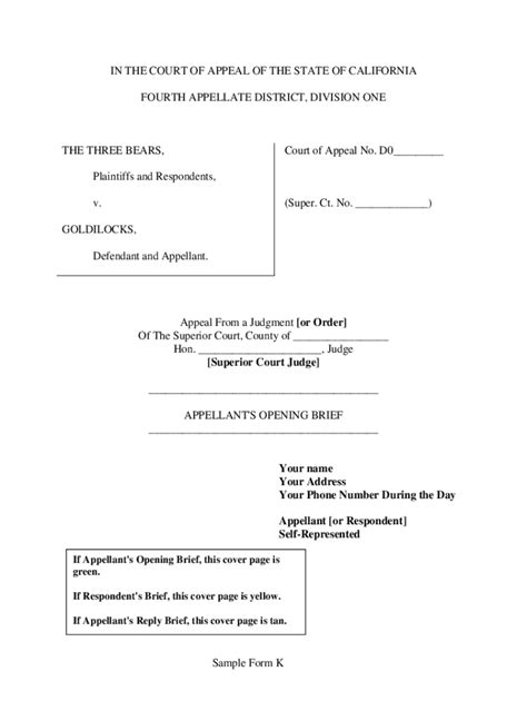 California Appellate Brief Template