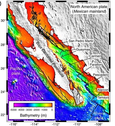 California Depth Chart