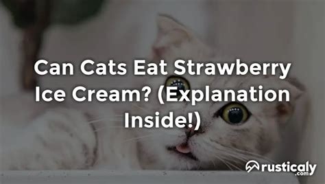 Can Cats Eat Strawberry Ice Cream?