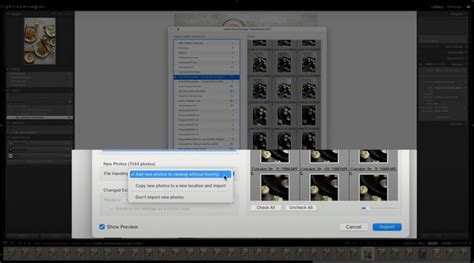 Can Lightroom Use Two Seperate Catalogue