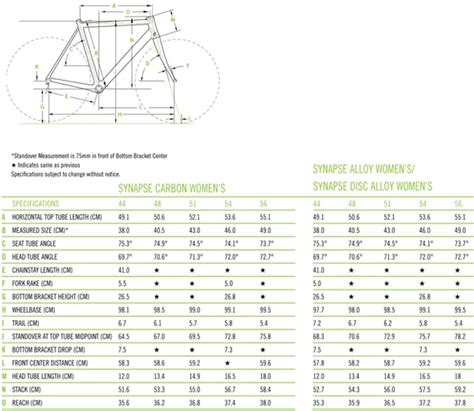 Cannondale Synapse Size Chart