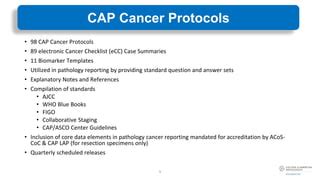 Cap Cancer Templates