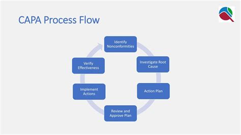 Capa Process Flow Chart