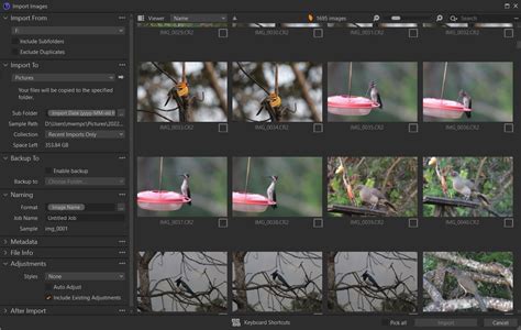 Capture One Import Images From Camera To Catalogue