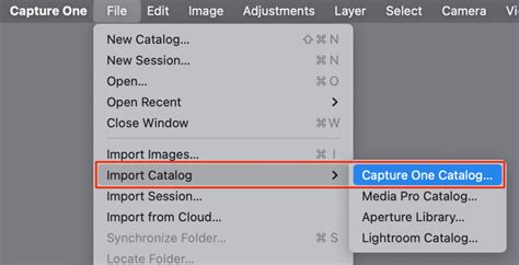 Capture One Merge Catalogs