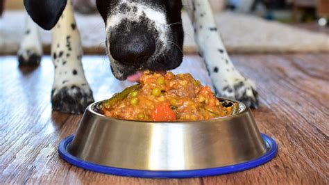 Cara Membuat Icing Anjing yang Lezat dan Bergizi untuk Sahabat Berbulu Anda