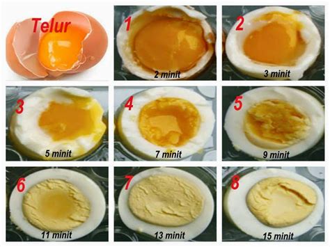 Cara Merebus Telur yang Sempurna: Berapa Lama Mencelupkannya dalam Mandi Es