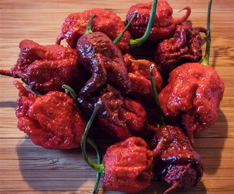 Carolina Reaper Köpa: En Komplett Guide