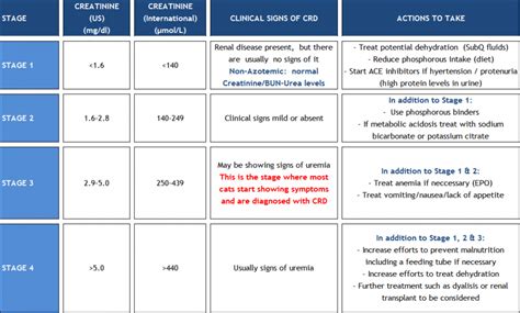 Cat Creatinine Levels Chart