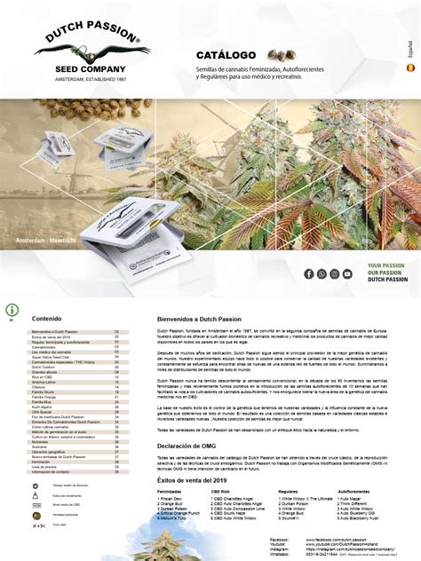 Catalogue In Spanish