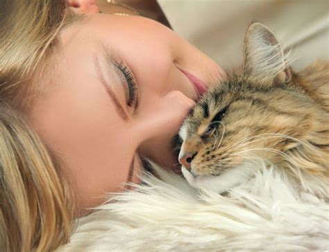 Cats Tidning: Unraveling the Emotional Bond Between Humans and Felines
