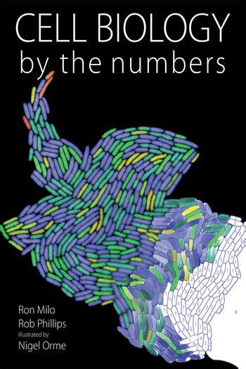 Cell Biology By The Numbers English Edition By Ron Milo