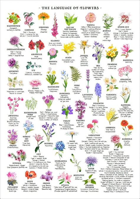 Chart Of Flowers