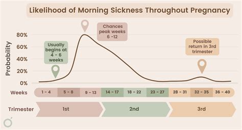Chart When Does Morning Sickness End