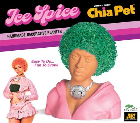 Chia Pet Ice Spice: A Journey of Transformation and Empowerment