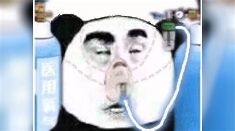Chinese Panda Meme Template