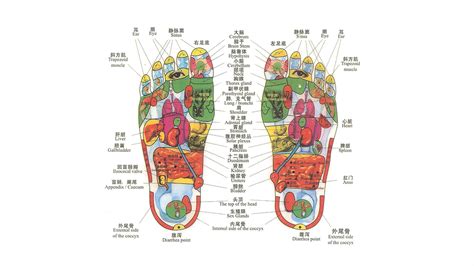 Chinese Reflexology Foot Chart