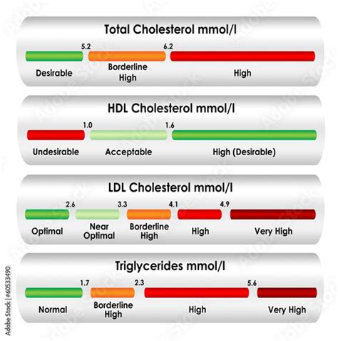 Cholesterol Levels By Age Chart Mmol L