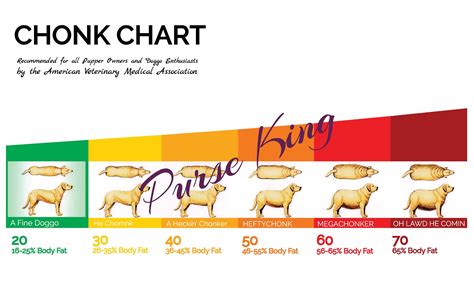 Chonk Chart Dog