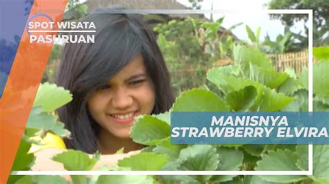 Cita Rasa Manis dari Ladang, Menikmati Es Krim Rich Farm Middlefield