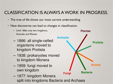 Classification Of Works Into Catalogues 1866