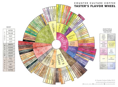 Coffee Flavour Chart