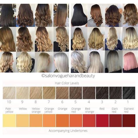 Color Chart For Hair