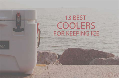 Commercial Ice Coolers: Your Essential Guide to Keeping Ice Cold and Fresh#Keep Ice Cool