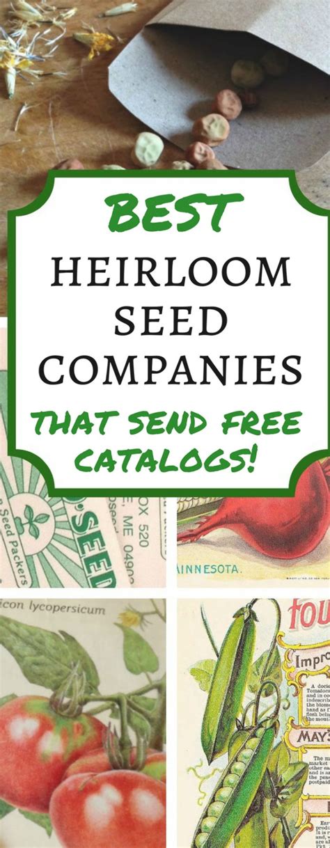 Companies That Send Out Free Catalogs