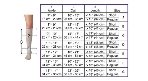 Compression Stocking Measurement Chart