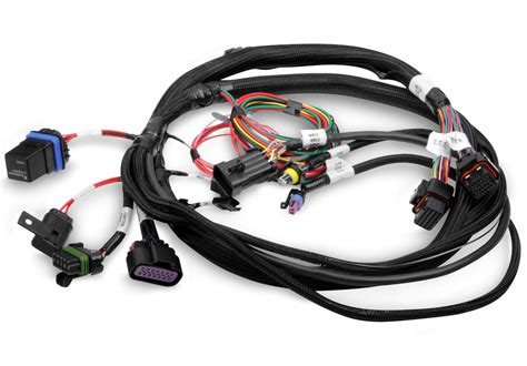 Control Unit Wiring Harness