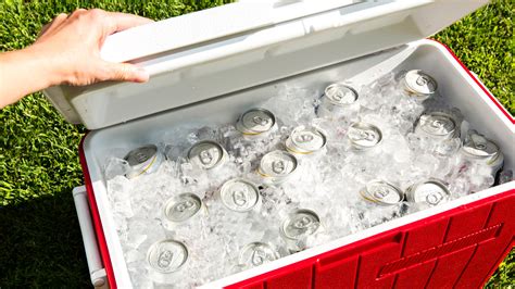 Cooler Ices: An Essential Guide to Chilling Your Beverages and Keeping Them Cold