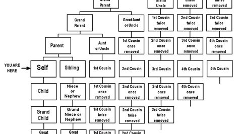 Cousins Once Removed Chart