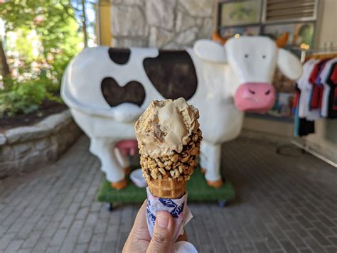 Cow Cow Ice Cream: A Sweet Treat with a Rich History